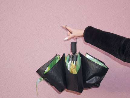 Collection image for: Paraply