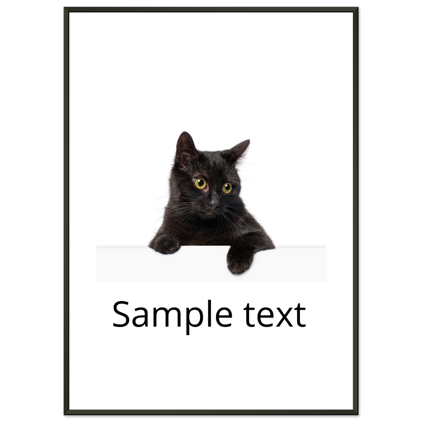 0e351384-602d-4357-9a6d-82162156ccc6