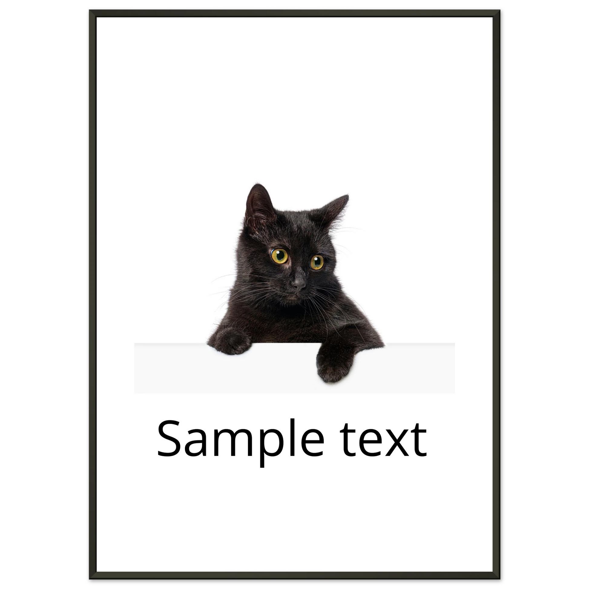 0e351384-602d-4357-9a6d-82162156ccc6
