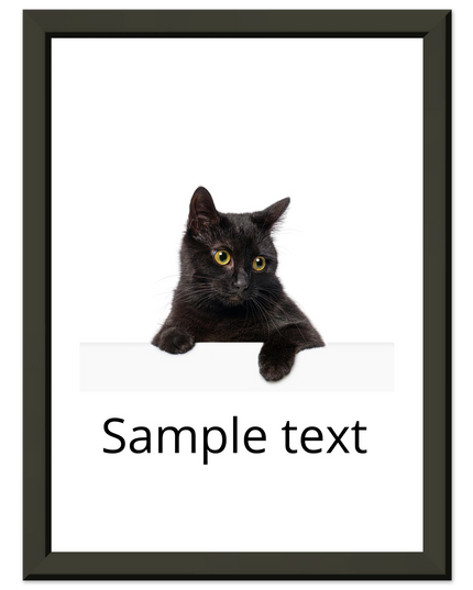 1bf31da4-ae72-42ef-a47e-c590320ae10c