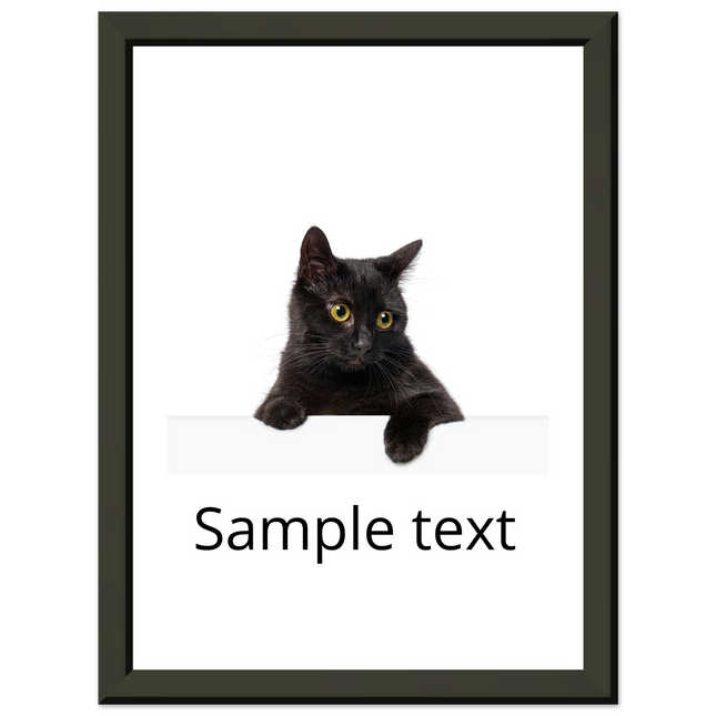 1bf31da4-ae72-42ef-a47e-c590320ae10c