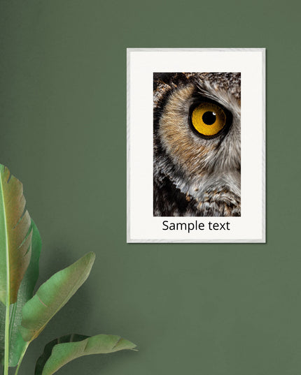 38e72007-274e-4459-ae37-a423beae67f2