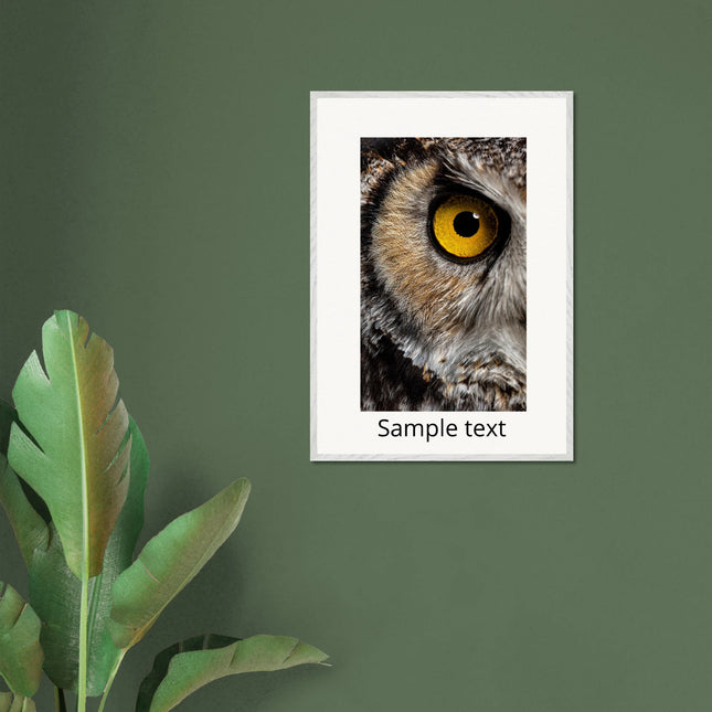 38e72007-274e-4459-ae37-a423beae67f2