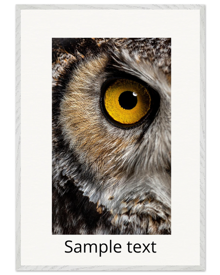 3feecda1-5f9f-4c71-8101-6072a7dc3b94