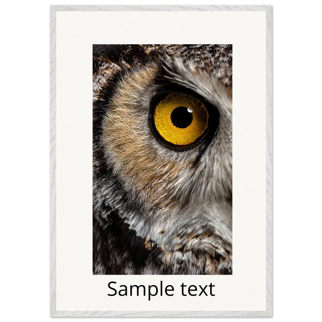 3feecda1-5f9f-4c71-8101-6072a7dc3b94