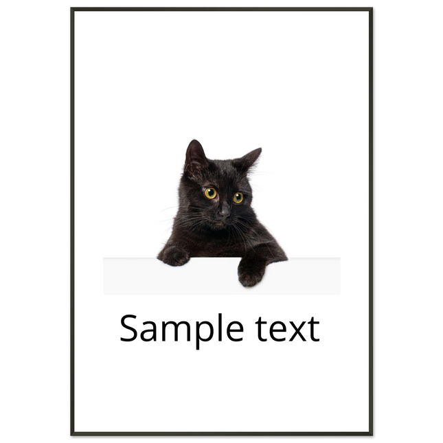 6593d5d4-809b-4e98-960d-ce94f5a62e6b