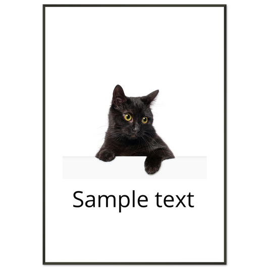 6593d5d4-809b-4e98-960d-ce94f5a62e6b