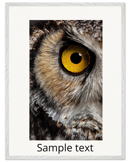 7e23d0a8-3f06-4294-a3d6-56964c81c605