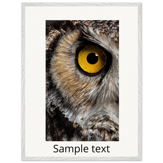 7e23d0a8-3f06-4294-a3d6-56964c81c605