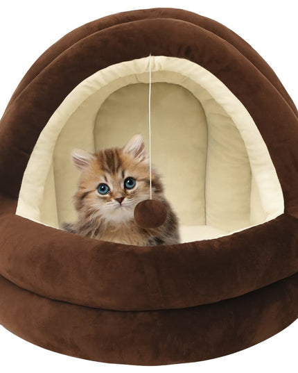 Kattbädd Och Gräddvit
