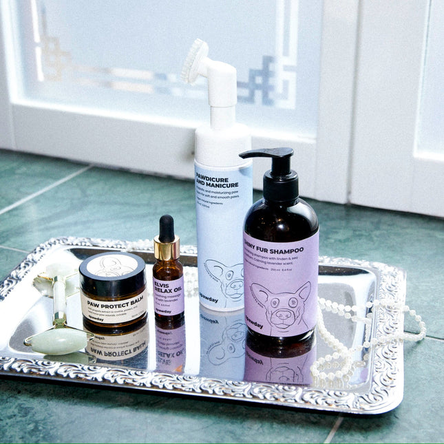 Elvis Spaw Kit - Den kompletta hundvårdsritualen