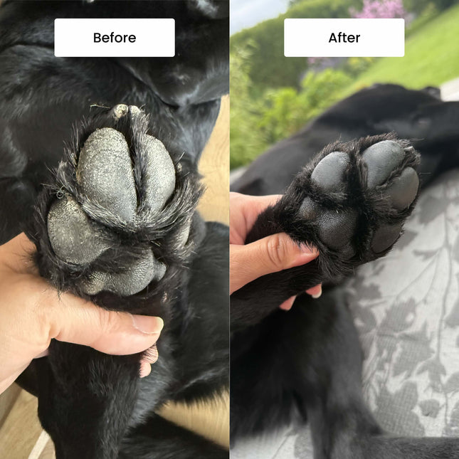 Paw Protect Balm 2-pack - För torra tassar och nosar