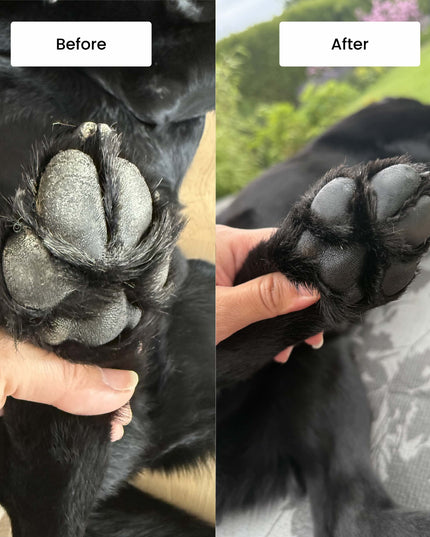 Pawdicure Set - For Dry and Dirty Paws