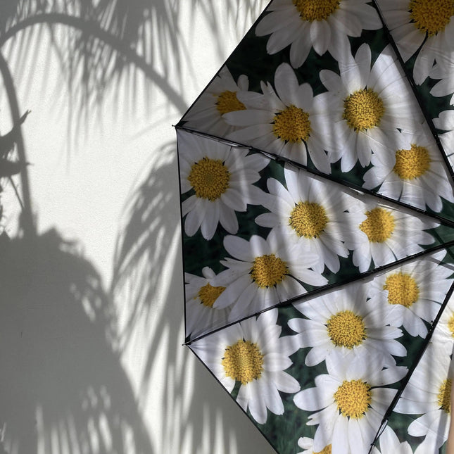 Daisy-paraply – vindtätt och med UPF50+ skydd