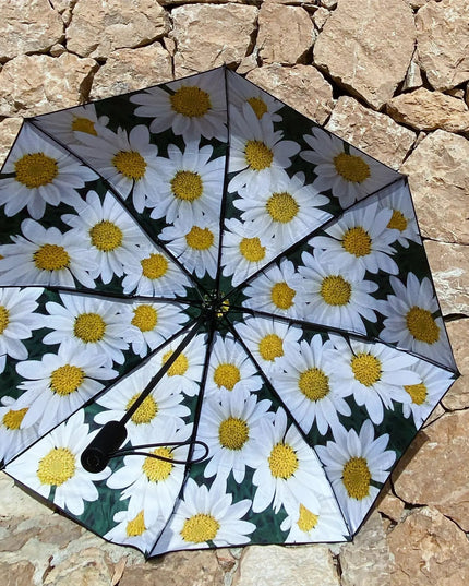 Daisy-paraply – vindtätt och med UPF50+ skydd