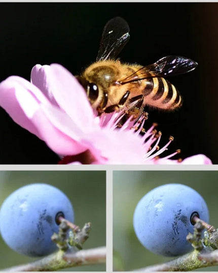 15X Makrofilter för GoPro HERO9–11 Black & HERO11 Mini