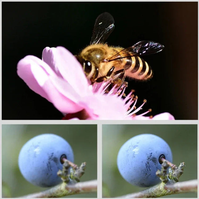 15X Makrofilter för GoPro HERO9–11 Black & HERO11 Mini