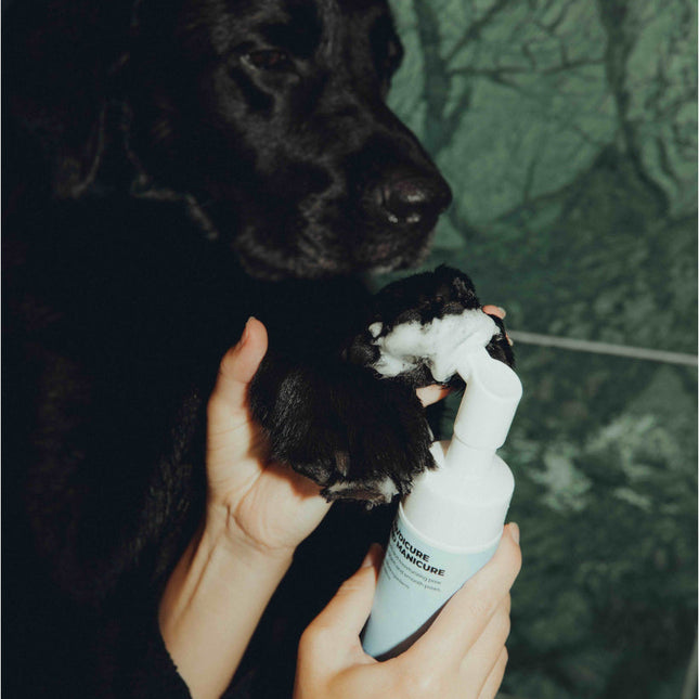 Pawdicure & Manikyrtvätt