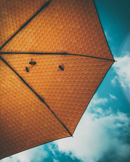 Honungsparaply – Vindtät och UPF50+ skydd