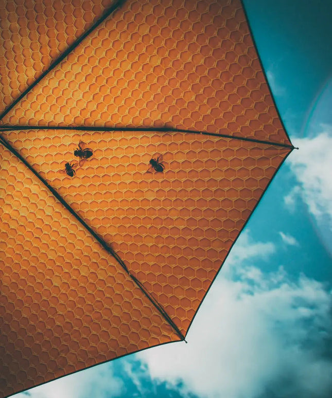 Honungsparaply – Vindtät och UPF50+ skydd