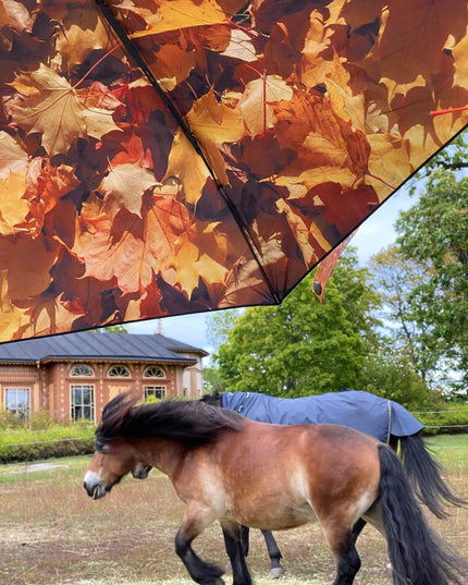 Höst Paraply – Vindtätt & UPF50+