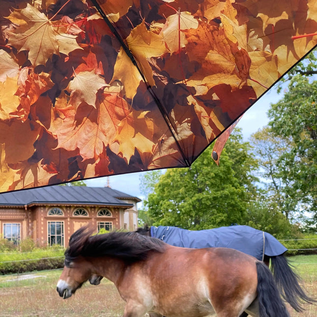Höst Umbrella – Windproof & UPF50+ Protection