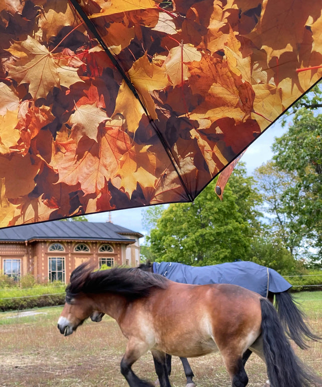 Höst Paraply – Vindtätt & UPF50+