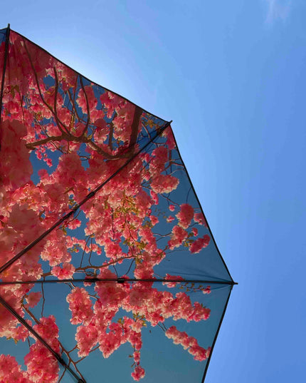 Körsbärsstrand och terrassparasoll