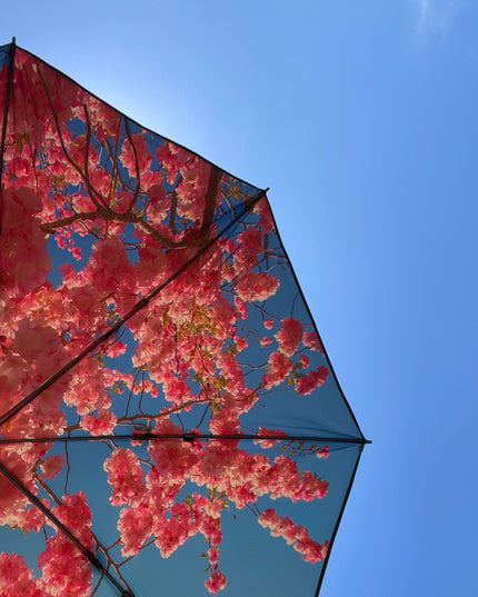 Parasoll kollektion från HAPPYSWEEDS