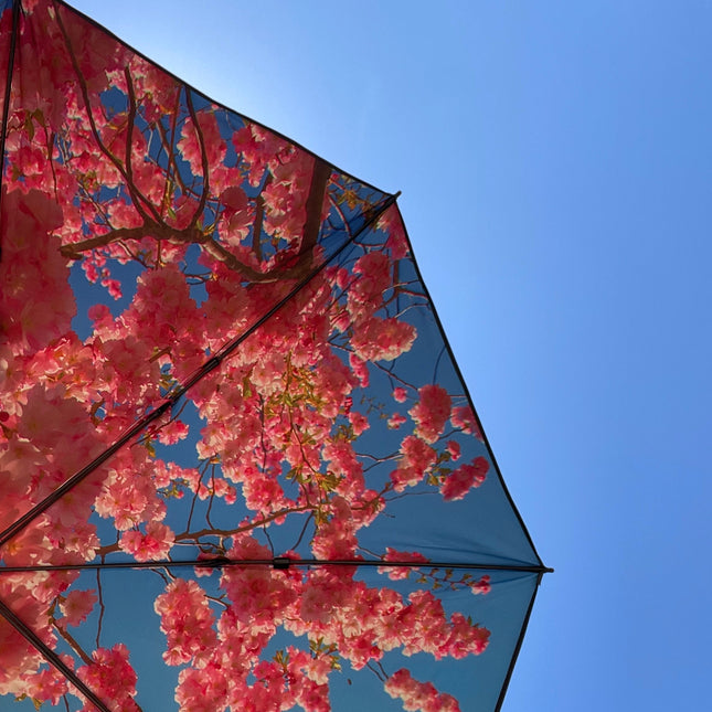 Parasoll kollektion från HAPPYSWEEDS