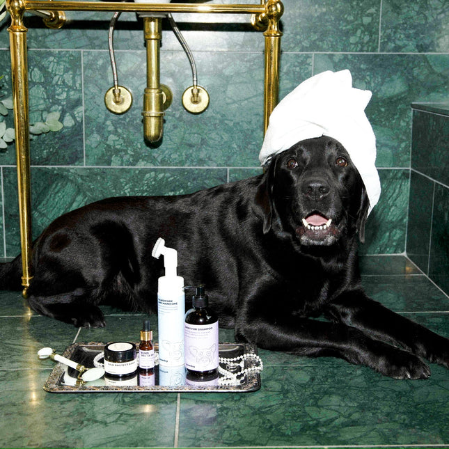 Total avslappningskit - För stressade hundar