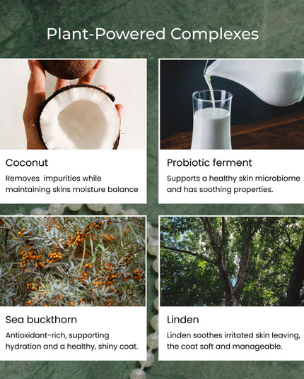 Shiny Fur Shampoo 2-pack – För fett hår och torr hud