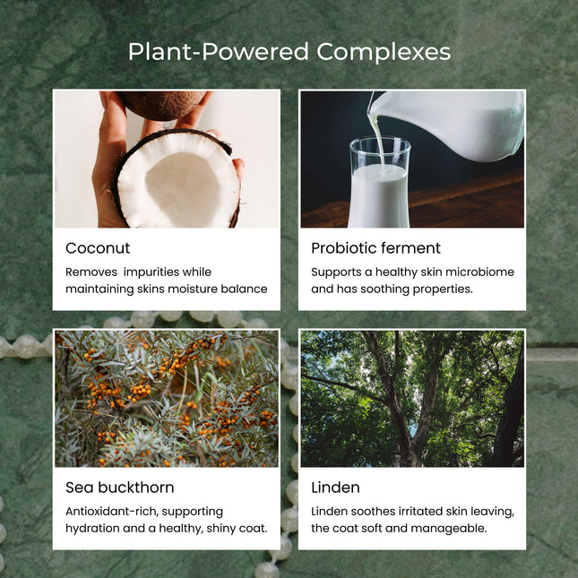 Shiny Fur Shampoo 2-pack – För fett hår och torr hud