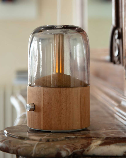 Lanaform Davy Mist – Designad aromadiffuser med kall dimma och LED-belysning