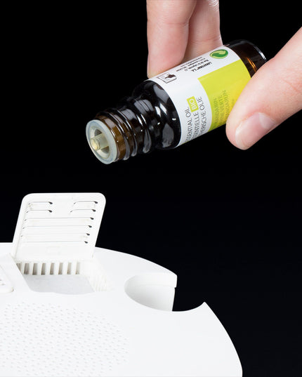 Lanaform Wake-Up Scents – Väckarklocka med doft- och ljusväckning