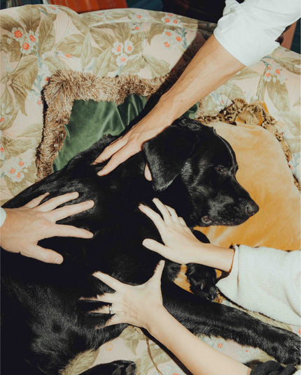 Elvis Relax Oil