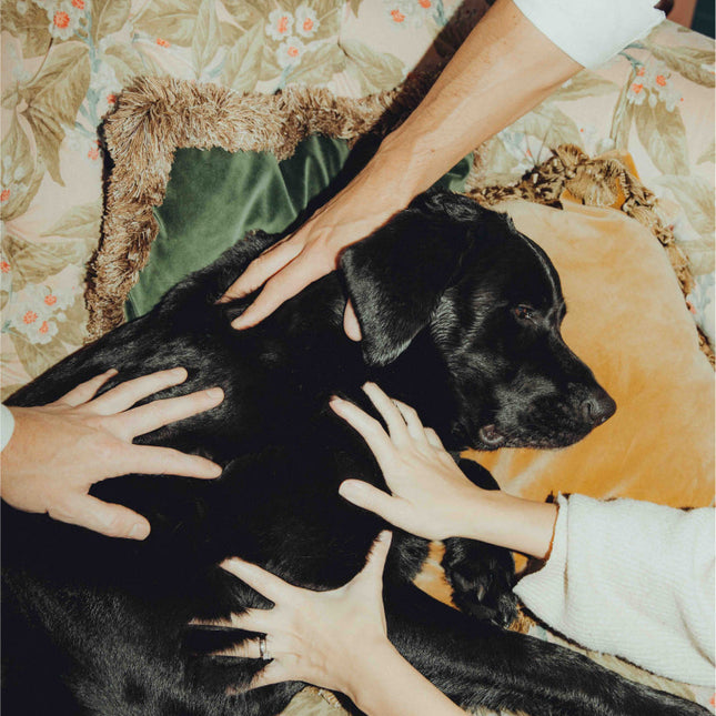 Elvis Relax Oil