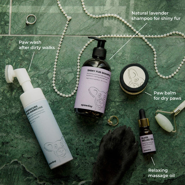Elvis Spaw Kit - Den kompletta hundvårdsritualen