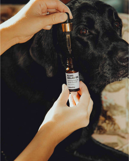 Total Relaxation Kit - For Stressed Dogs