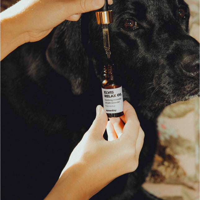 Total Relaxation Kit - For Stressed Dogs