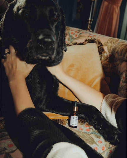 Total Relaxation Kit - For Stressed Dogs