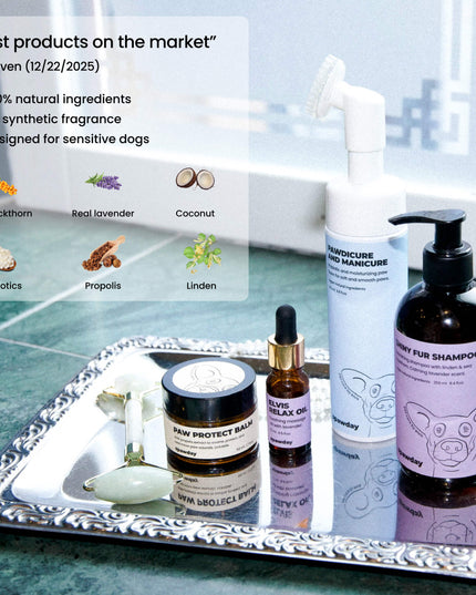 Elvis Spaw Kit - The Complete Dog Care Ritual