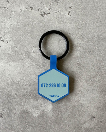 Blå namnbricka till hund - Typsnitt Tea