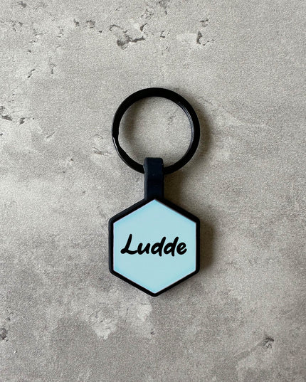 Ljusblå namnbricka till hund - Typsnitt Tea