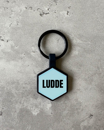 Ljusblå namnbricka till hund - Typsnitt Anton