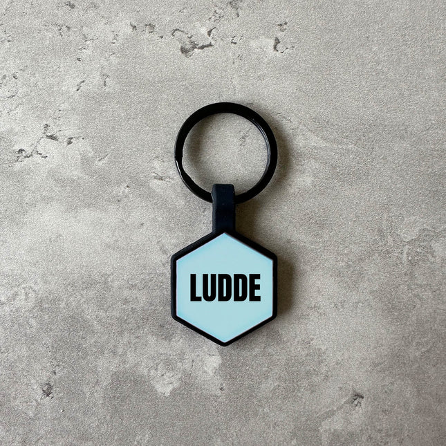 Ljusblå namnbricka till hund - Typsnitt Anton