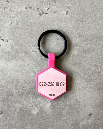 Ljusrosa namnbricka till hund - Typsnitt Anton