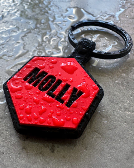 Röd namnbricka till hund - Typsnitt Anton