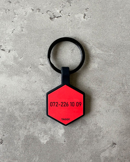 Röd namnbricka till hund - Typsnitt Tea