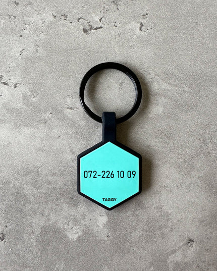 Turkos namnbricka till hund - Typsnitt Tea